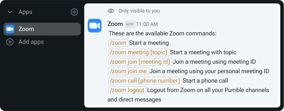 zoom commands