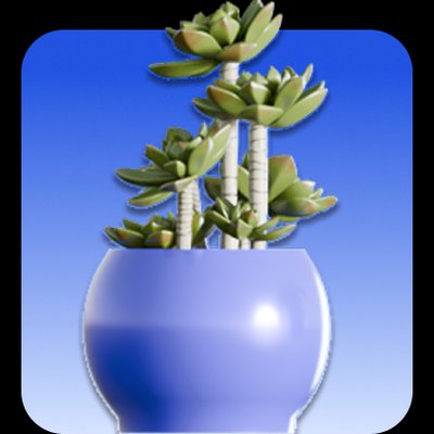 CAKE.com Basic Monthly Plan