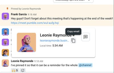 Pumble: Copy Users Email