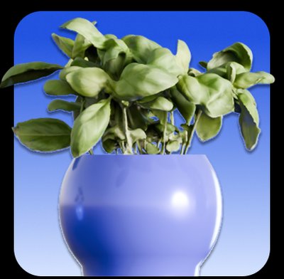 CAKE.com Basic Annual Plan