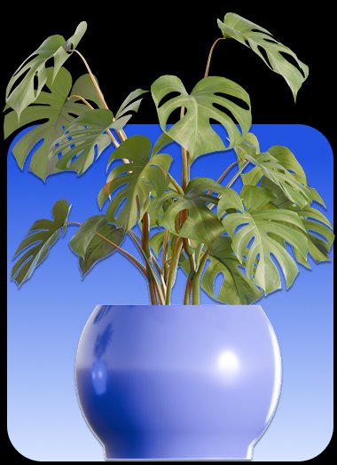 CAKE.com Pro Monthly Plan