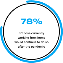 Remote and Hybrid Work Infographic